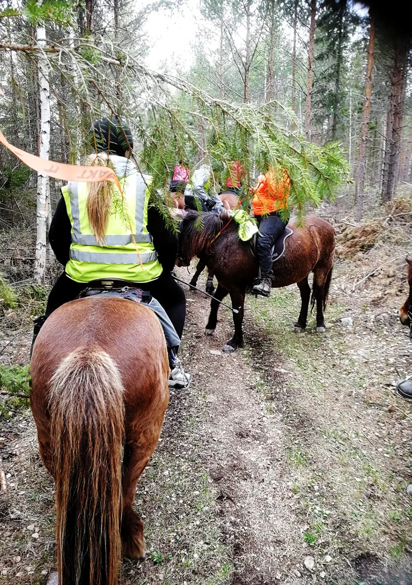hästträff